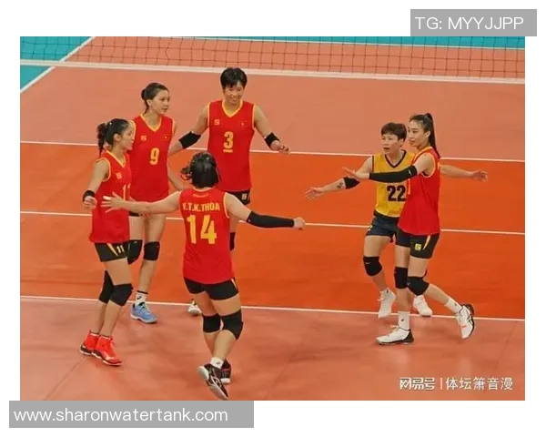 武汉排球队实力强劲荣登全国排球实力排行榜第七位